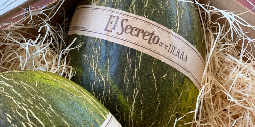 cultivo del melón