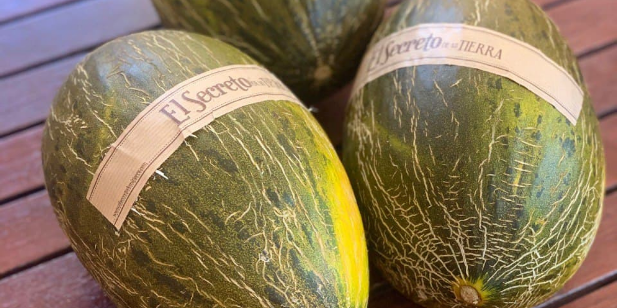 ¿El melón engorda? Desmontando mitos El Secreto de mi Tierra